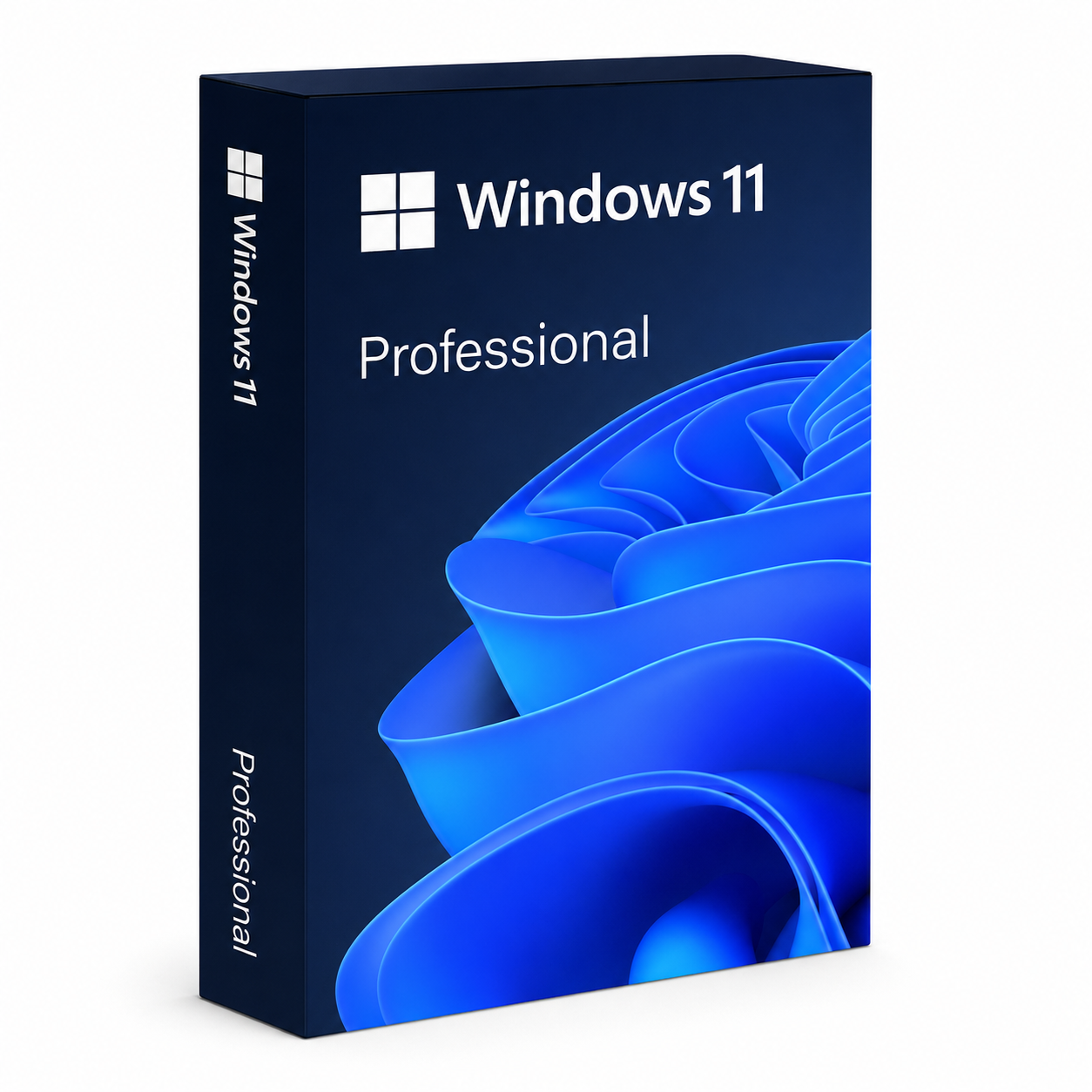 Windows 11 Pro